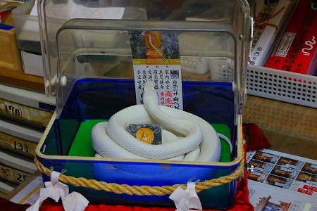 蛇信仰にまつわるエトセトラ2 宮崎県
